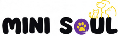 MiniSoul