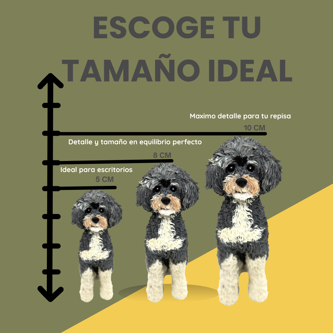 Recuerdo 3D de tu Mascota