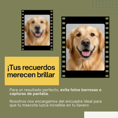Recuerdo 3D de tu Mascota